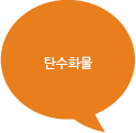 탄수화물