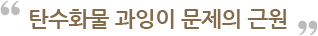 탄수화물 과잉이 문제의 근원