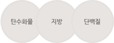 탄수화물 지방 단백질