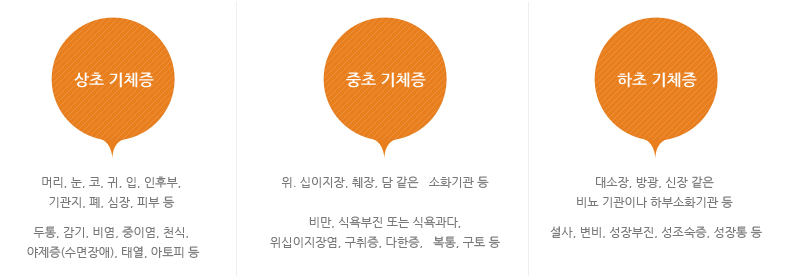 상초 기체증 - 머리,눈,코,귀,입,인후부,기관지,폐,심장,피부 등 두통, 감기, 비염, 중이염, 천식, 야제증(수면장애), 태열, 아토피 등 / 중초 기체증 - 위, 십이지장, 췌장, 담 같은 소화기관등 비만, 식욕부진 또는 식욕과다, 위십이자장염, 구취증, 다한증, 복통, 구토 등 / 하초 기체증 - 대소장, 방광, 신장 같은 비뇨 기관이나 하부소화기관 등 설사, 변비, 성장부진, 성조숙증, 성장통 등 