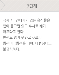 3단계 - 식사 시  건더기가 있는 음식물은 입에 물고만 있고 수시로 배가 아프다고 한다. 안색도 맑지 못하고 주로 미 황색이나황색을 띄며, 대변상태도 불규칙하다. 