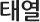 아토피(태열)