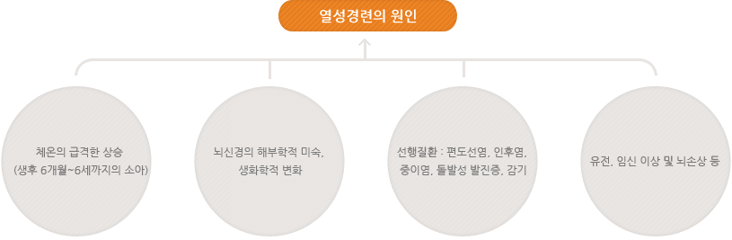 열성경련의 원인 체온의 급격한 상승 (생후 6개월~6세까지의 소아) ,뇌신경의 해부학적 미숙, 생화학적 변화,선행질환 : 편도선염, 인후염, 중이염, 돌발성 발진증, 감기, 유전, 임신 이상 및 뇌손상 등 