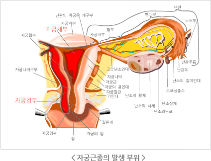 http://www.inyogi.com/img/c7/ready3_bg.gif