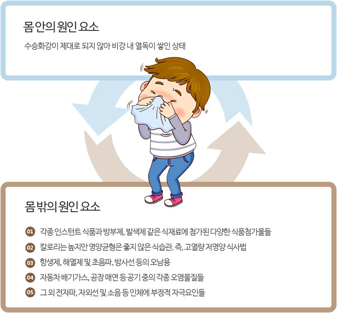 비염 : 몸안의 원인요소 / 몸 밖의 원인요소