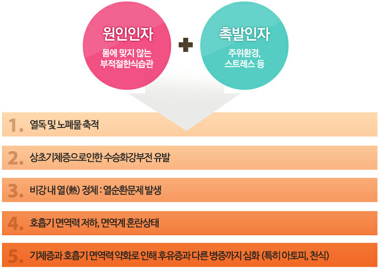 비염 : 몸 안의 원인요소 / 몸 밖의 원인요소